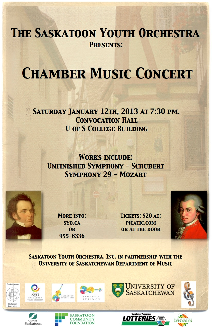 SYO Chamber Orchestra Concert